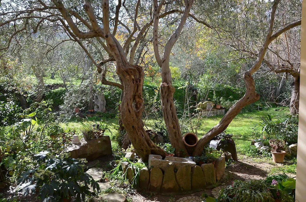 Villa Calagioli Castelbuono Bed & Breakfast